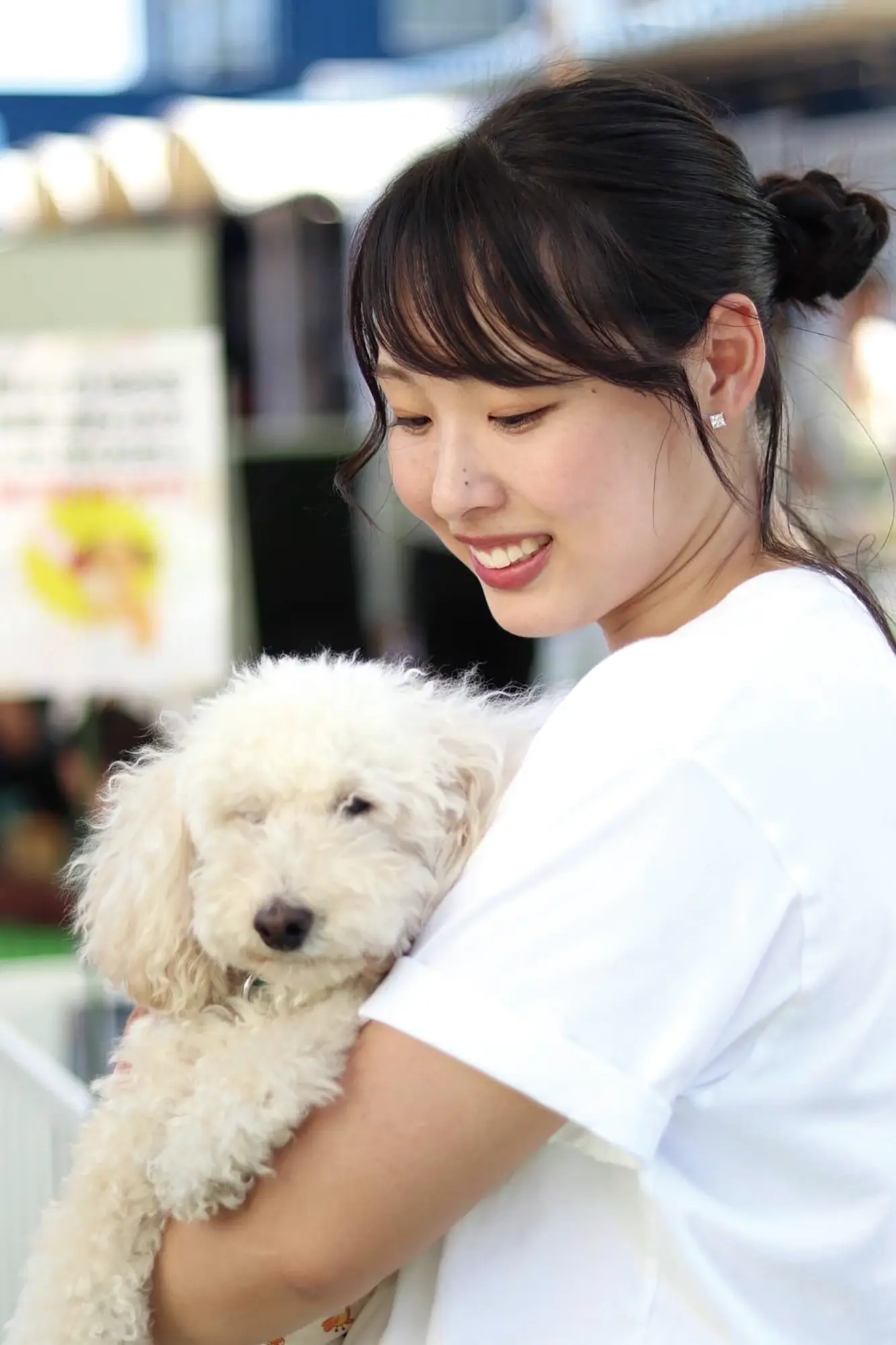 わんにゃんフェスティバル